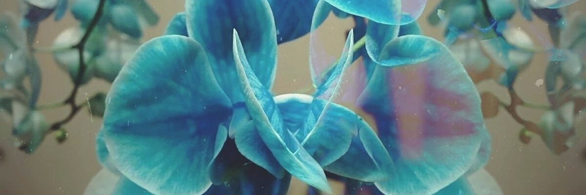 AriMuoz's profile banner image