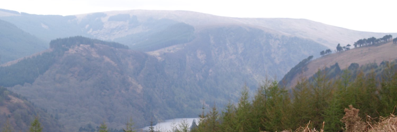 ronankav410's profile banner image