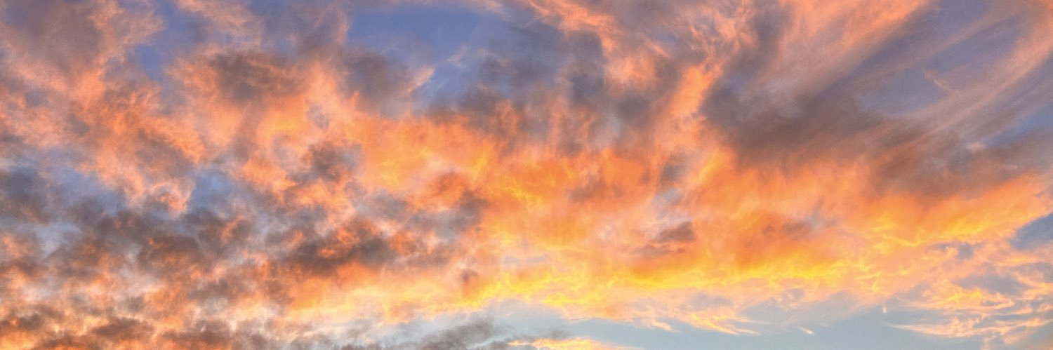 scarlethpuig's profile banner image