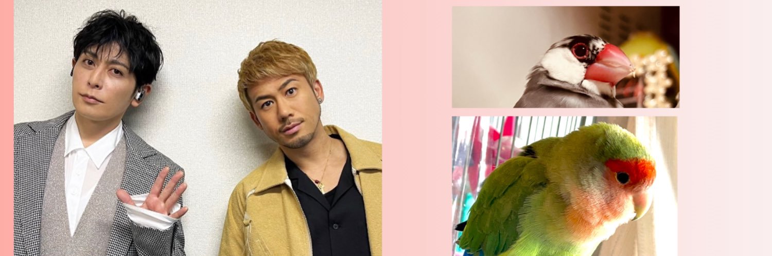 kyoropooo's profile banner image