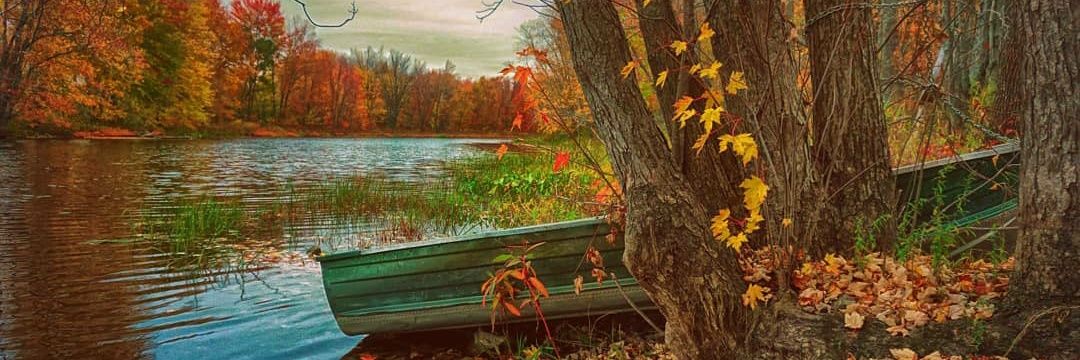 MadhounSamar91's profile banner image