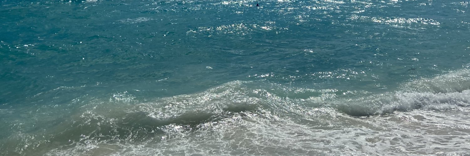 ale_vazquezf's profile banner image