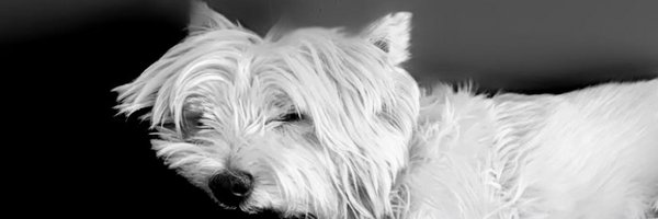 gregblyde Profile Banner