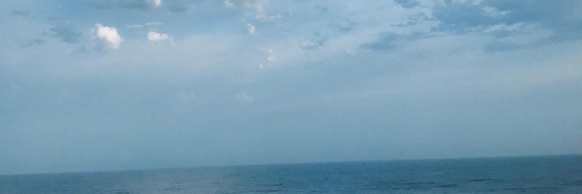 Shimaa Bassam's banner