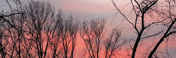 MSymons_PhD Profile Banner