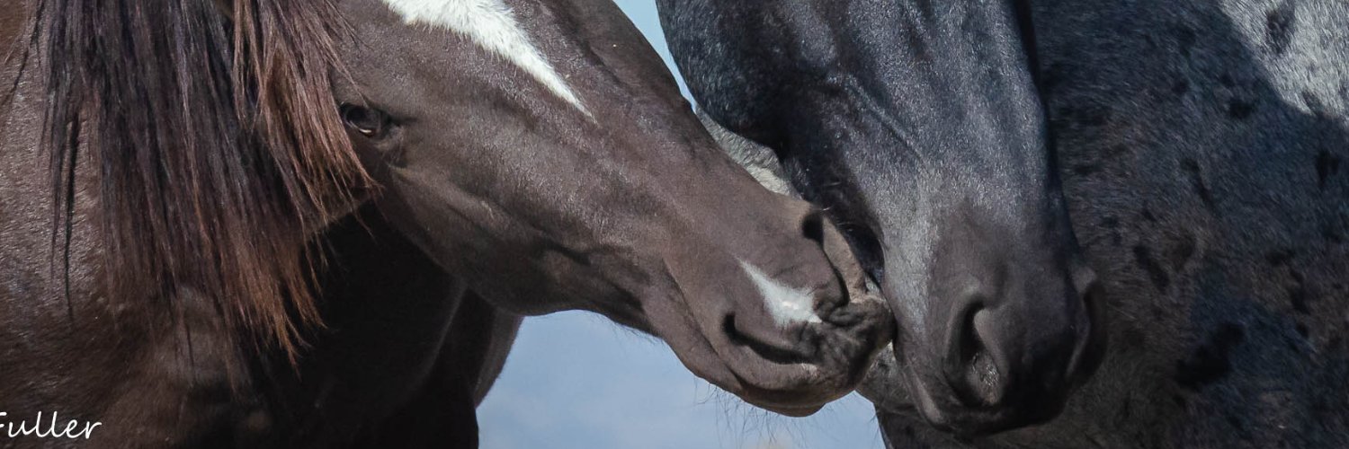 kfullerwa's profile banner image
