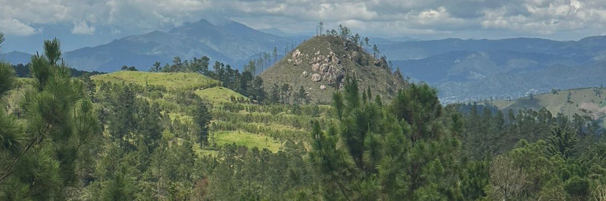 EvaMarteA's profile banner image