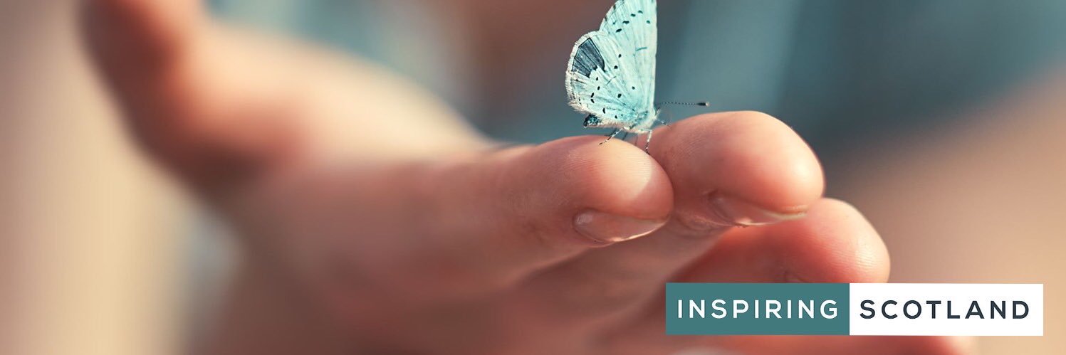 Survivors of Childhood Abuse Support Fund (Adult) banner