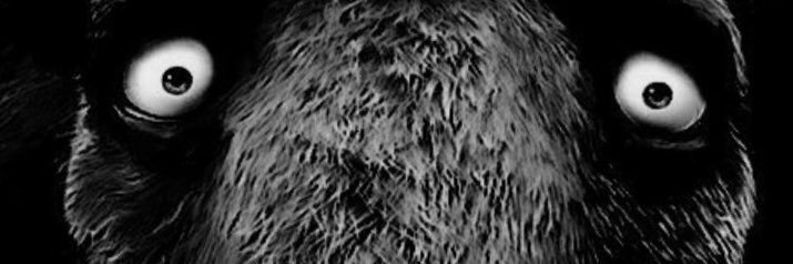 ignifeux's profile banner image