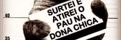 crazyy_sof's profile banner image