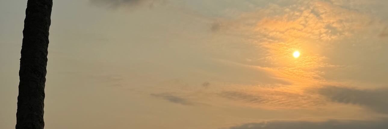 twizzalex's profile banner image