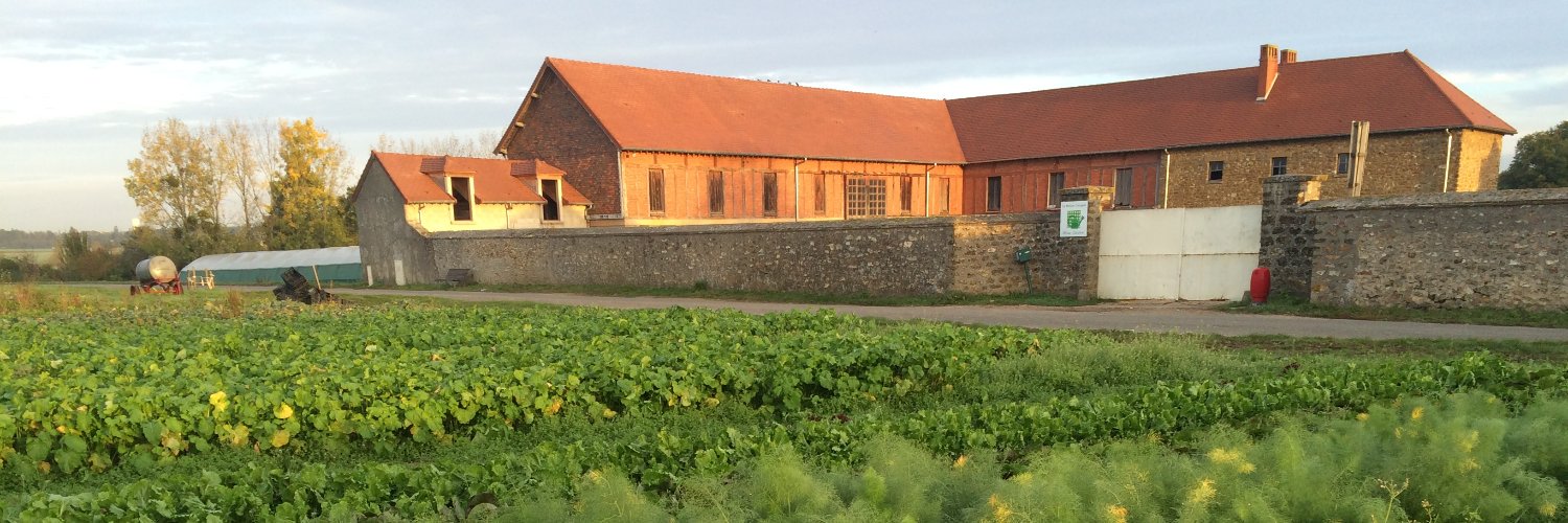 MaisonCocagne's profile banner image