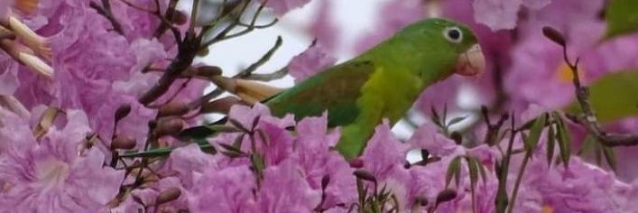 32_arcoiris's profile banner image