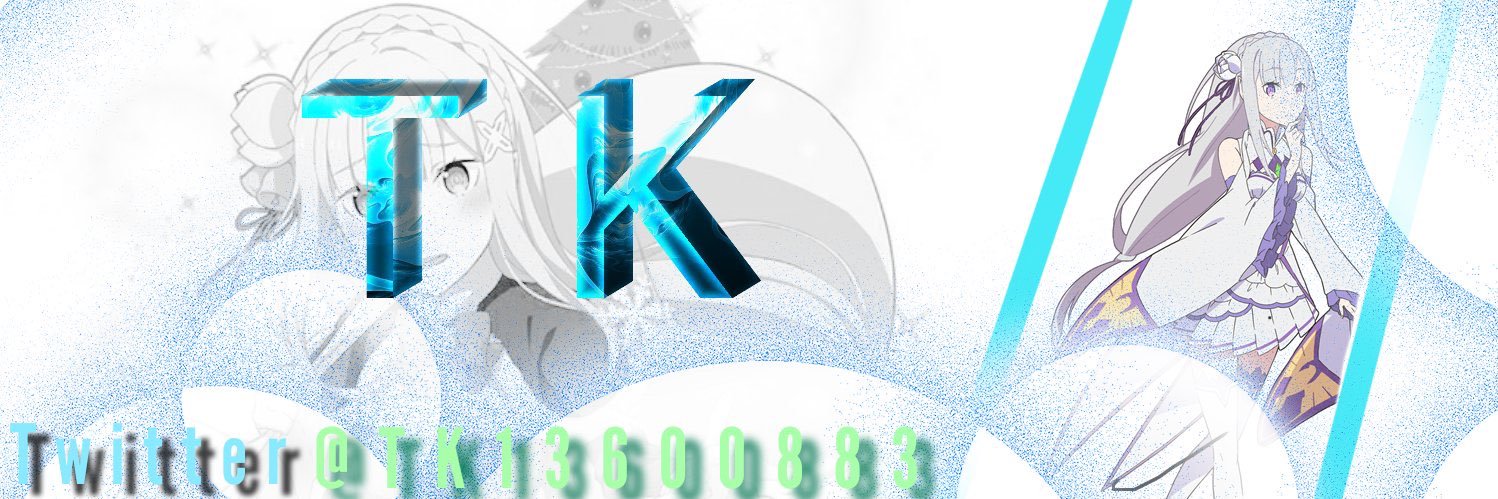 TK13600883's profile banner image