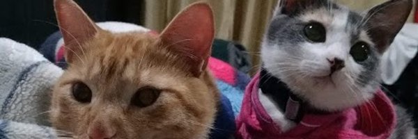 djlopez0210 Profile Banner