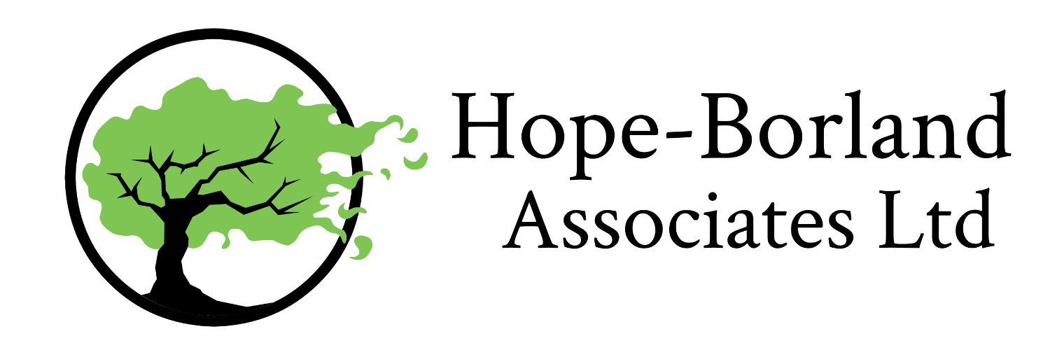 HopeBAssociates's profile banner image