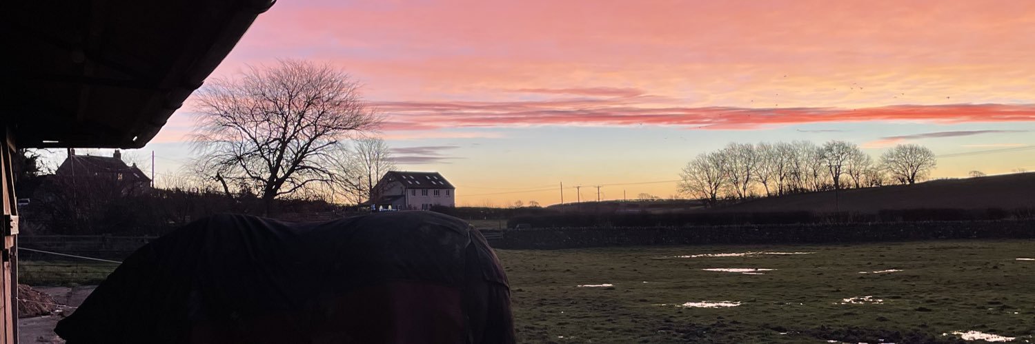 Chloepara77's profile banner image