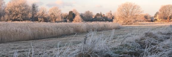 Henfield Parish Council banner