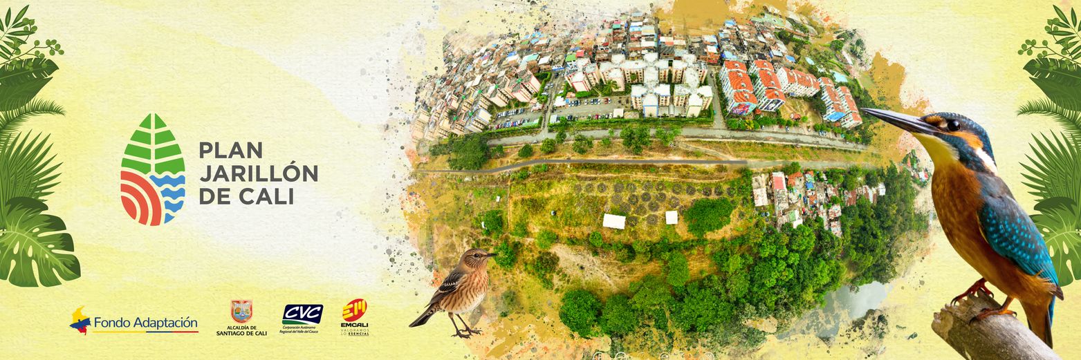 Plan Jarillón de Cali banner