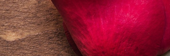 Kenneth83508411's profile banner image