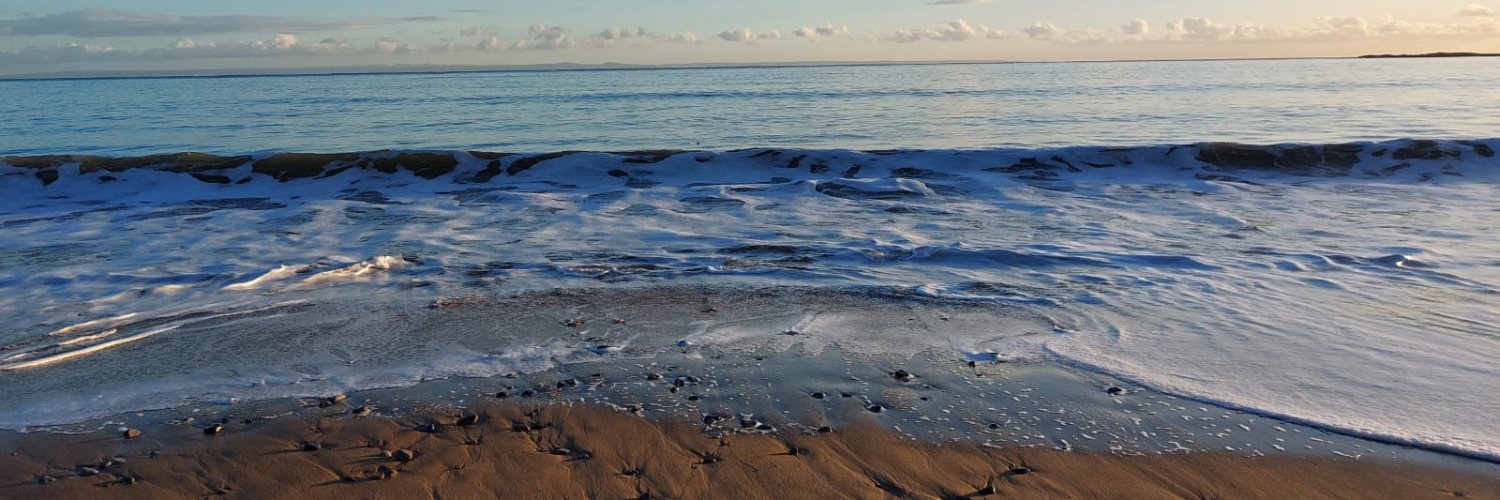 SLJ EDUCATION CONSULTANCY banner