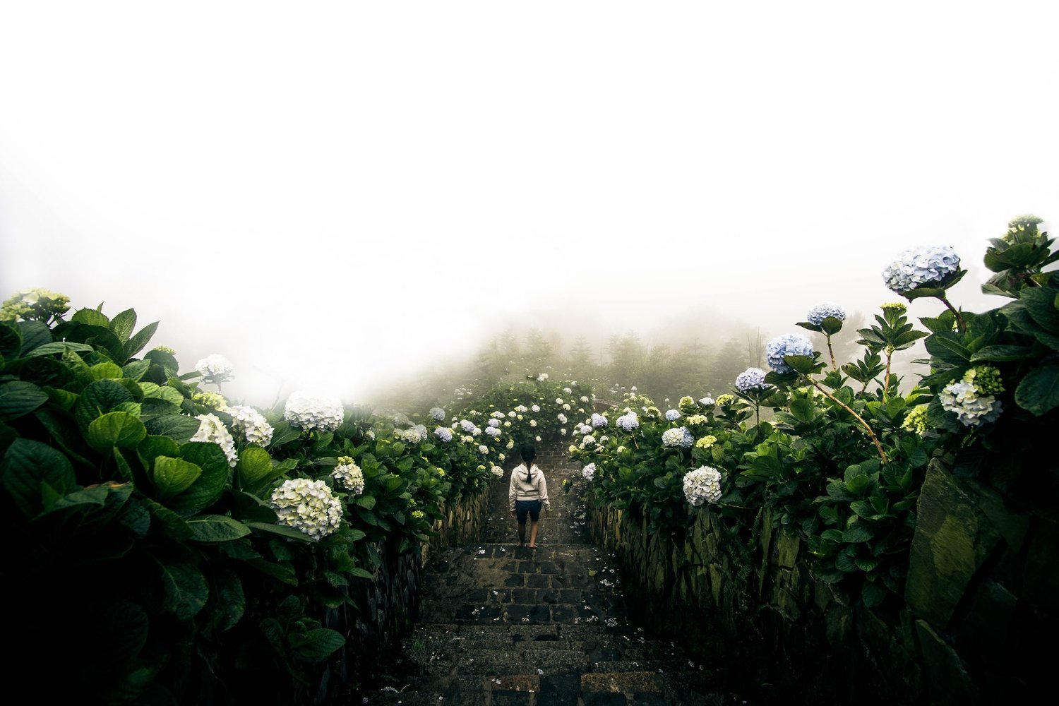 Destination Wherever (@destinationwher) / Posts / X