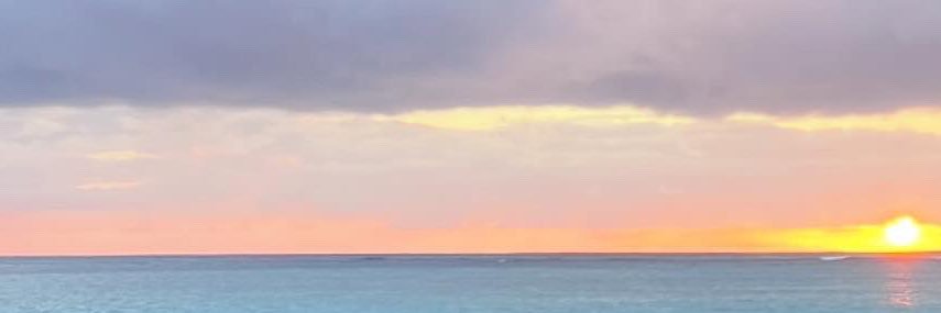 森　日菜美's banner