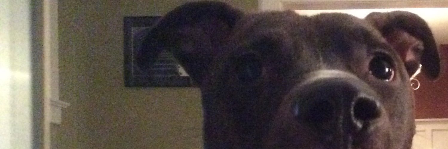 ZBlutner's profile banner image