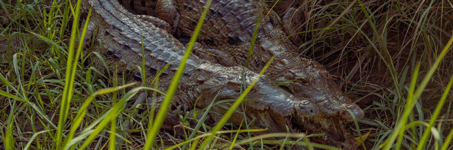 BarryOfori's profile banner image