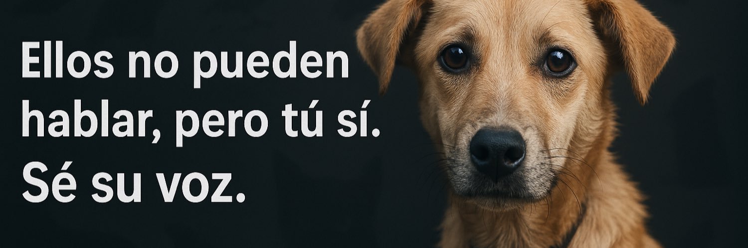 postalesdelalma's profile banner image