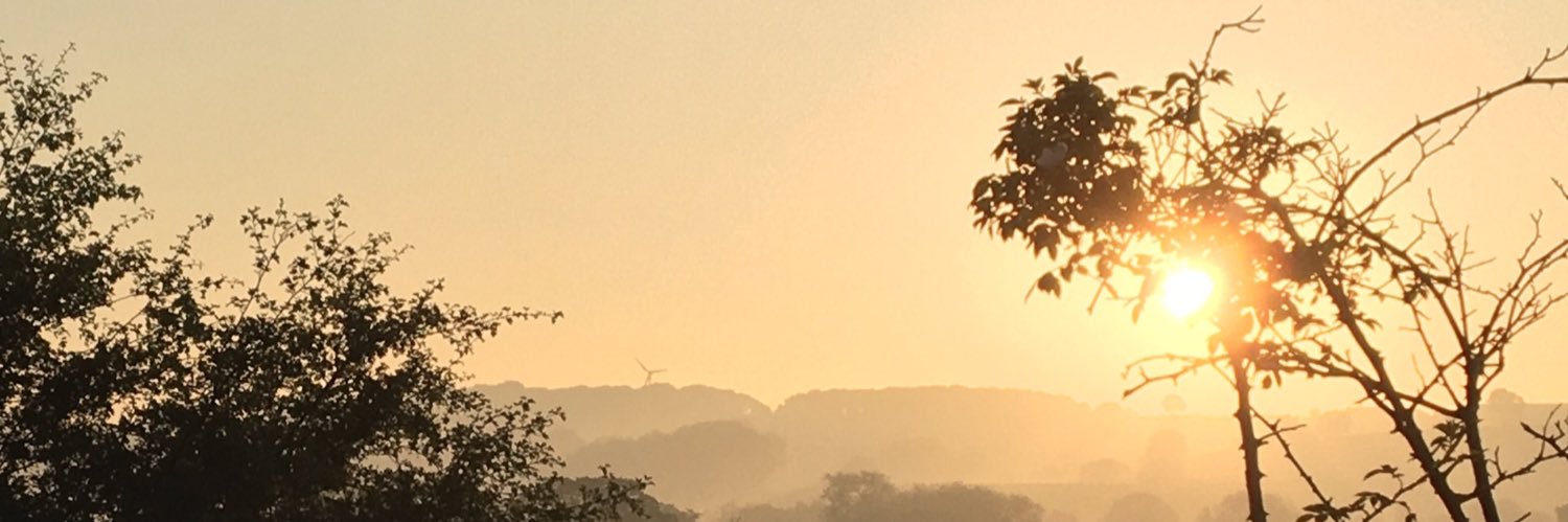 thechiwanderer's profile banner image