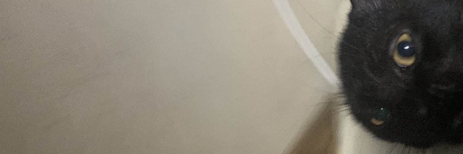 phiaatot_'s profile banner image
