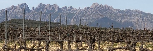 EliztFox Profile Banner