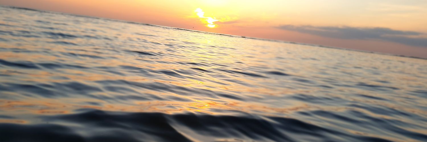 treepixy's profile banner image