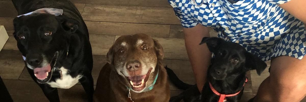 cydceo's profile banner image