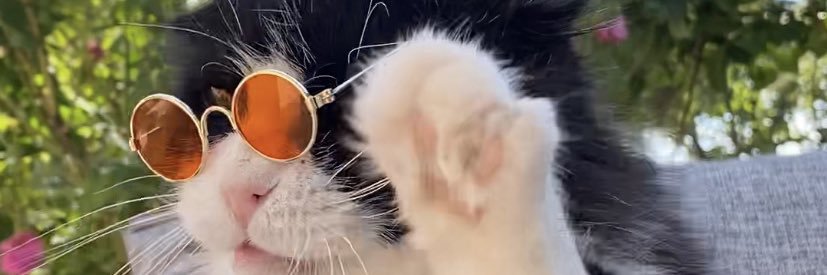 Toraman Ayısı dobarla bırakma kendini🫶🏻 banner