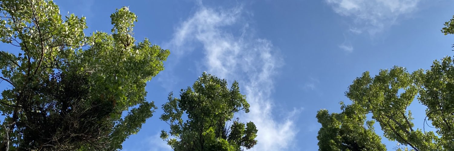 jcaceresnu's profile banner image