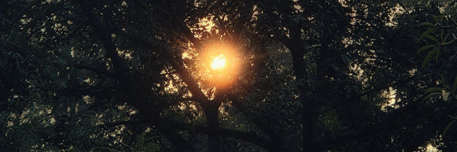 sreshtuv's profile banner image