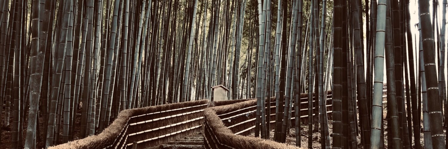 JoakoCanepa's profile banner image
