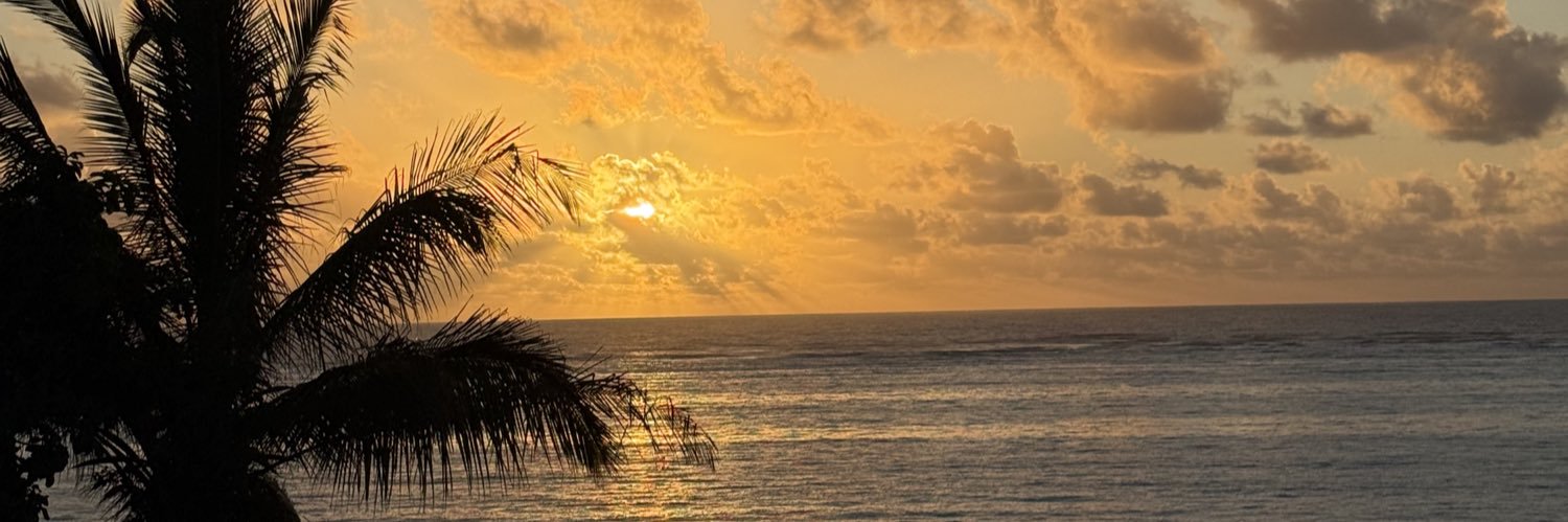 LLabocki's profile banner image