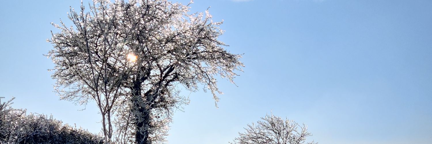 Clembaudouin's profile banner image