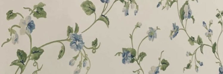 afraaaaaah1's profile banner image