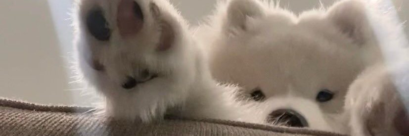 JustmeDaveDay's profile banner image