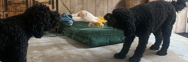 Boazmaster Profile Banner