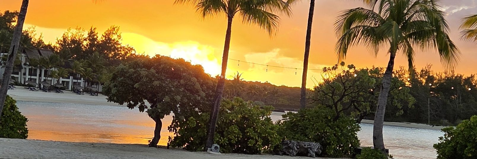 Feo 🏴󠁧󠁢󠁳󠁣󠁴󠁿 banner