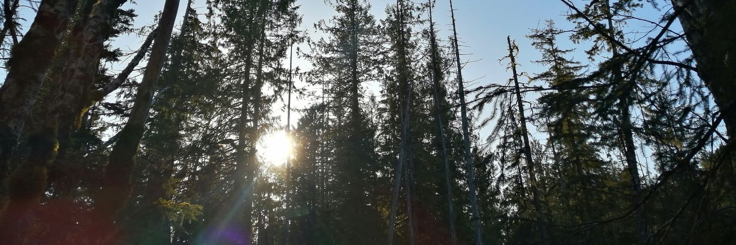 CrespaEnredada's profile banner image