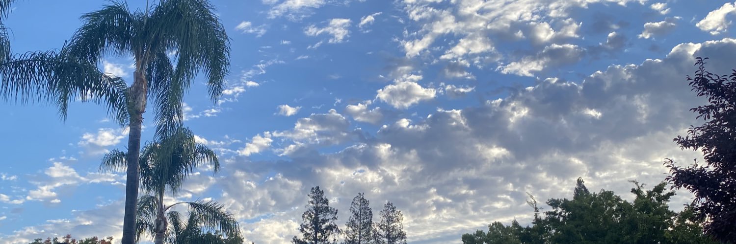 nicfelly's profile banner image