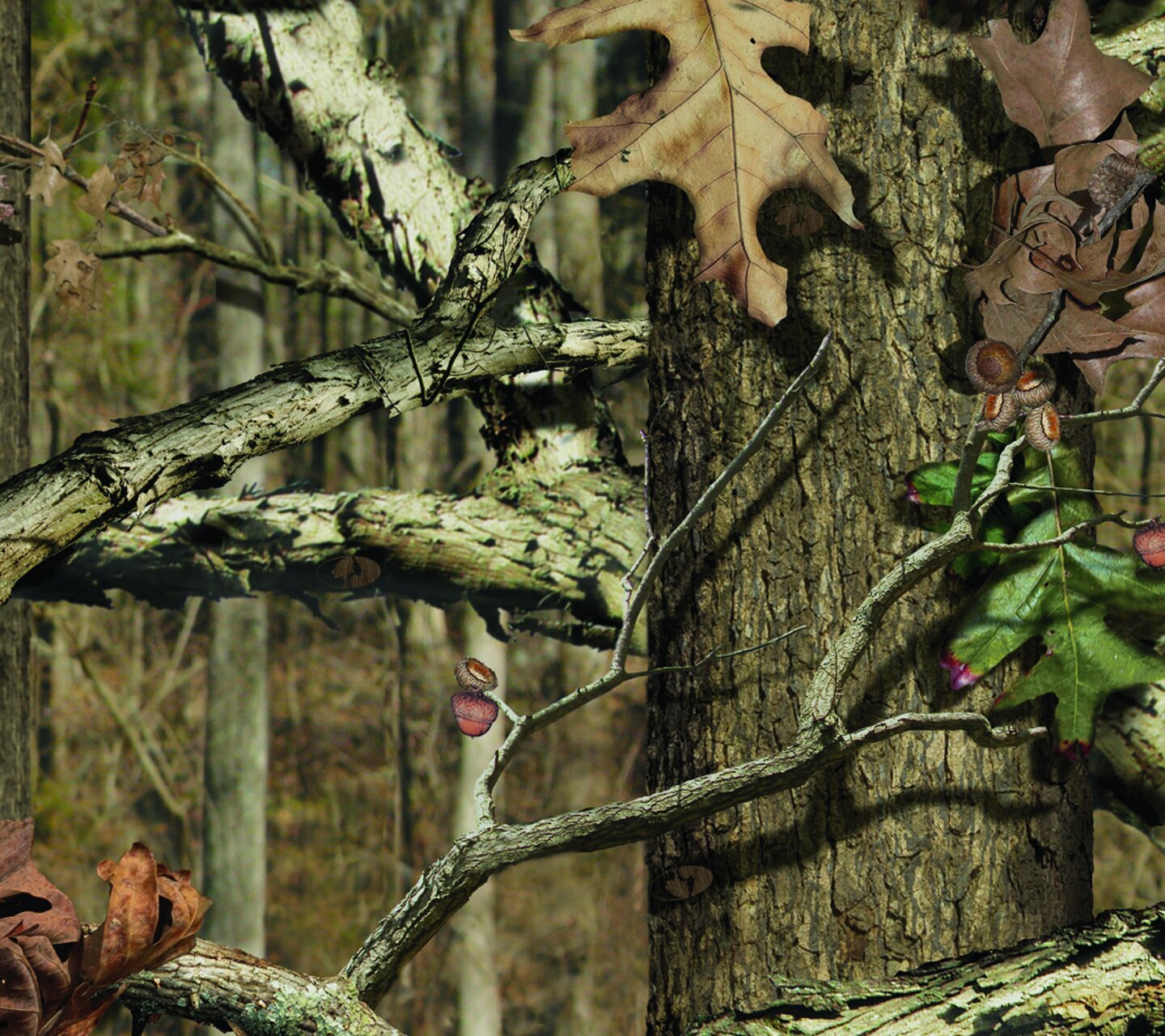 Haroldk110's profile banner image
