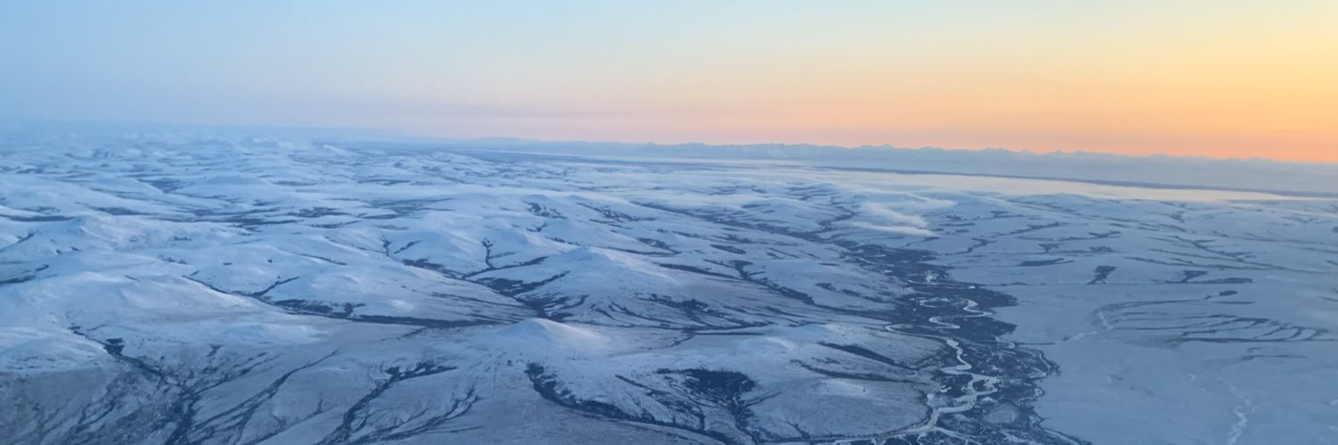 Rowenna Gryba banner