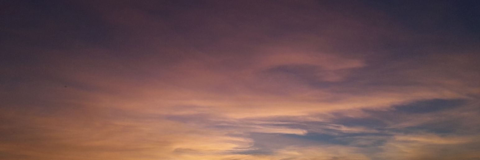 maca299's profile banner image